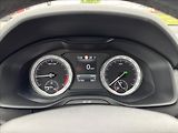 Škoda Kodiaq 2,0 TDI 110 kW Ambition DSG - náhled 26