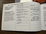 Opel Corsa 1,2 Turbo 100PS  Elegance - náhled 53