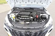 Dongfeng Shine.