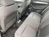 Škoda Karoq (2019) 2.0 TDI 4x4 Ambition Plus - náhled 10