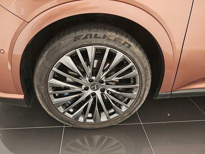 Lexus RX 450h plus RX 450h+ Luxury - fotka 11 z 50
