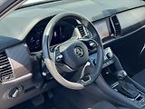 Škoda Kodiaq 2,0 TDi 147kW 7DSG 4x4 STYLE P - náhled 10