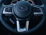 Subaru Forester 2.0i 4x4 AUT KAMERA VÝHŘEV LED - náhled 34