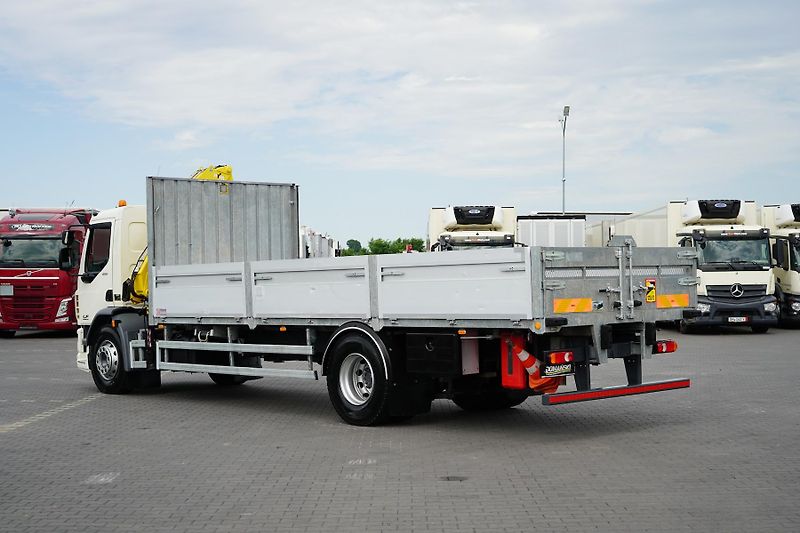 DAF LF (2015) / 250 / SKRZYNIOWY + HDS / HYV - fotka 5 z 52