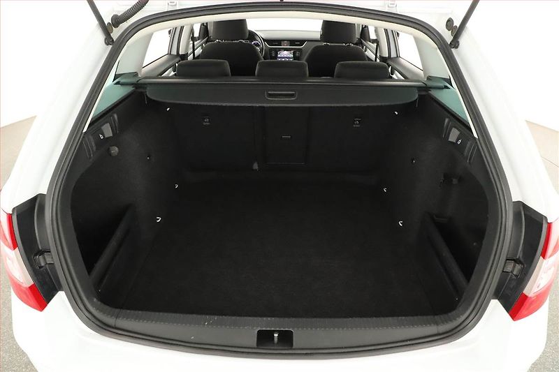 Škoda Octavia (2020) 1.6 TDI, Tempomat - fotka 11 z 12
