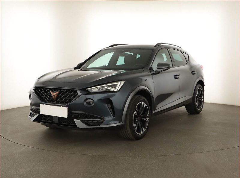 Cupra Formentor (2021) 2.0 TSI 4Drive - fotka 2 z 18