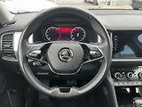 Škoda Kodiaq (2023) 2.0 TDI 110 KW DSG  - náhled 16