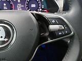 Škoda Octavia - náhled 17