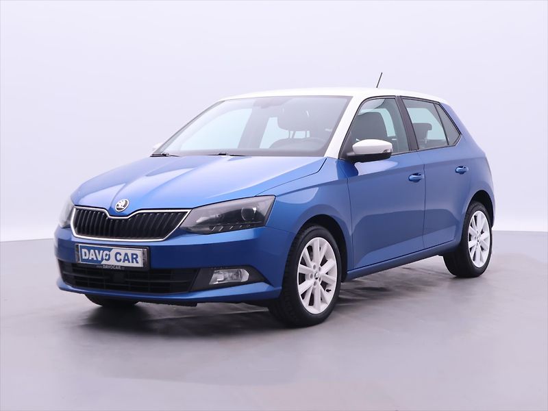 Škoda Fabia 1,2 TSI 81kW Style CZ 1.Maj. - fotka 3 z 32