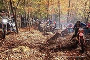 Po posledním závodě seriálu FIM HARD ENDURO Word Championship se stal Václav Nedvěd z Kladrub dvanáctým nejlepším hardendurovým jezdcem světa.