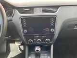 Škoda Octavia (2019) 2.0 TDi 4x4, RS, DSG, +ALU - náhled 12
