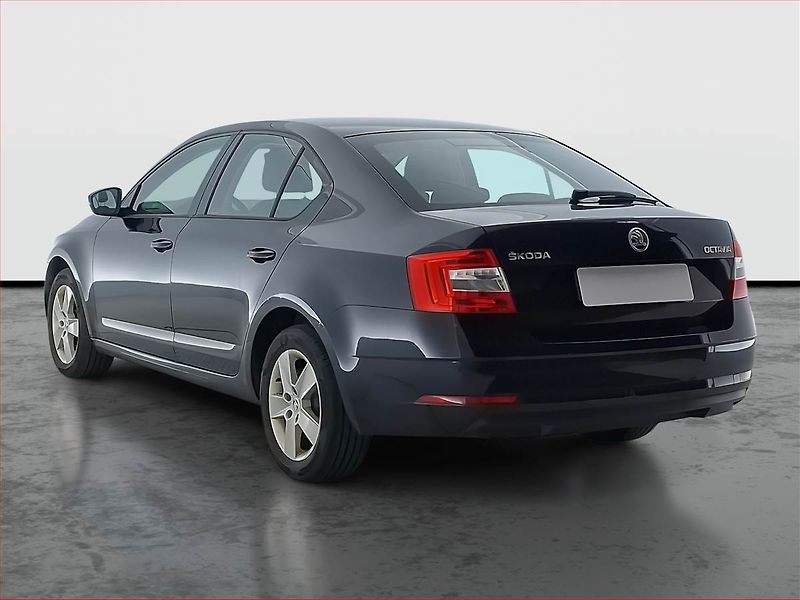 Škoda Octavia (2018) 1.6 TDI, Tempomat - fotka 4 z 18