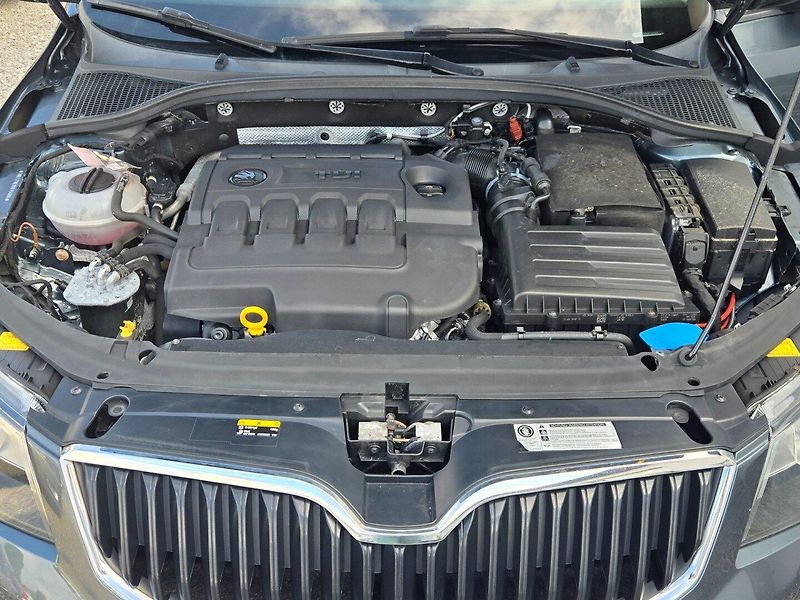 Škoda Octavia (2017) 2.0 TDI DSG, Navi - fotka 29 z 29