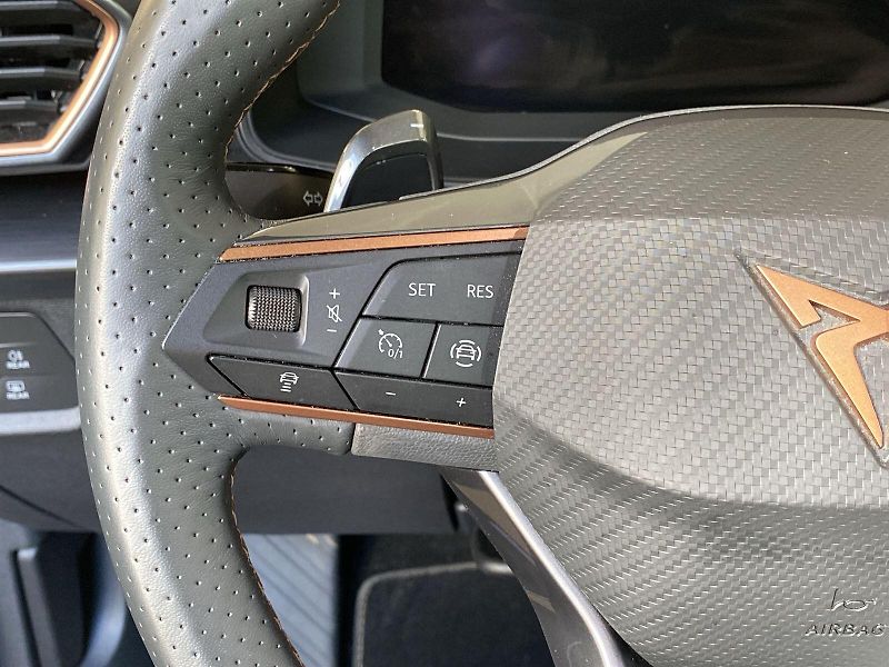 Cupra Formentor (2023) 1.5 TSI Automat - fotka 14 z 33