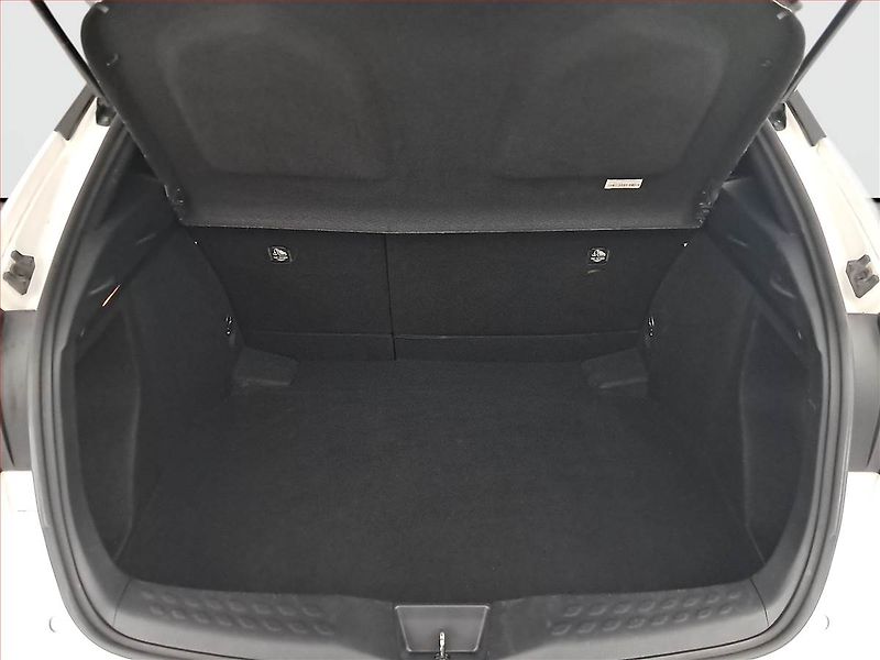 Toyota C-HR (2021) Comfort 1.2 Turbo, Serv.kniha - fotka 14 z 19