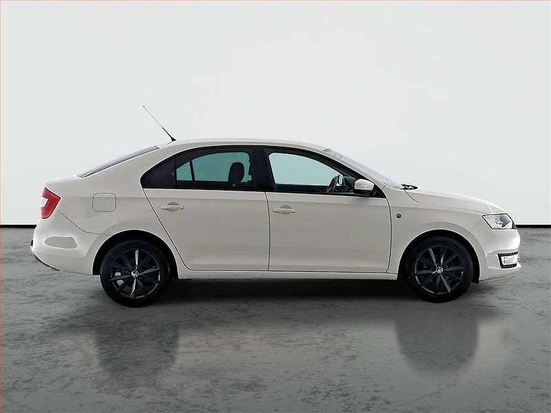 Škoda Rapid (2014) 1.2 TSI, Tempomat - fotka 6 z 17