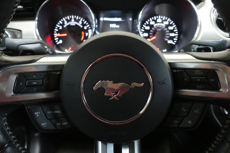 Ford Mustang (2015) 5.0 Ti-VCT V8 GT 50 automat - fotka 19 z 48