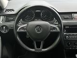 Škoda Rapid 1.2TSi Ambition PLUS 105PS Spa - náhled 16
