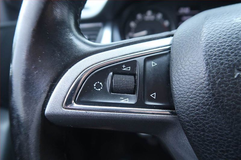 Škoda Rapid (2014) 1.2 TSI, Tempomat - fotka 16 z 20