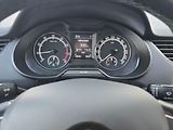 Škoda Octavia 1.5TSI CNG DSG 1.Maj. ČR - DPH - náhled 21