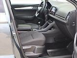 Škoda Karoq (2019) Ambition 1.6 TDI, Navi - náhled 9